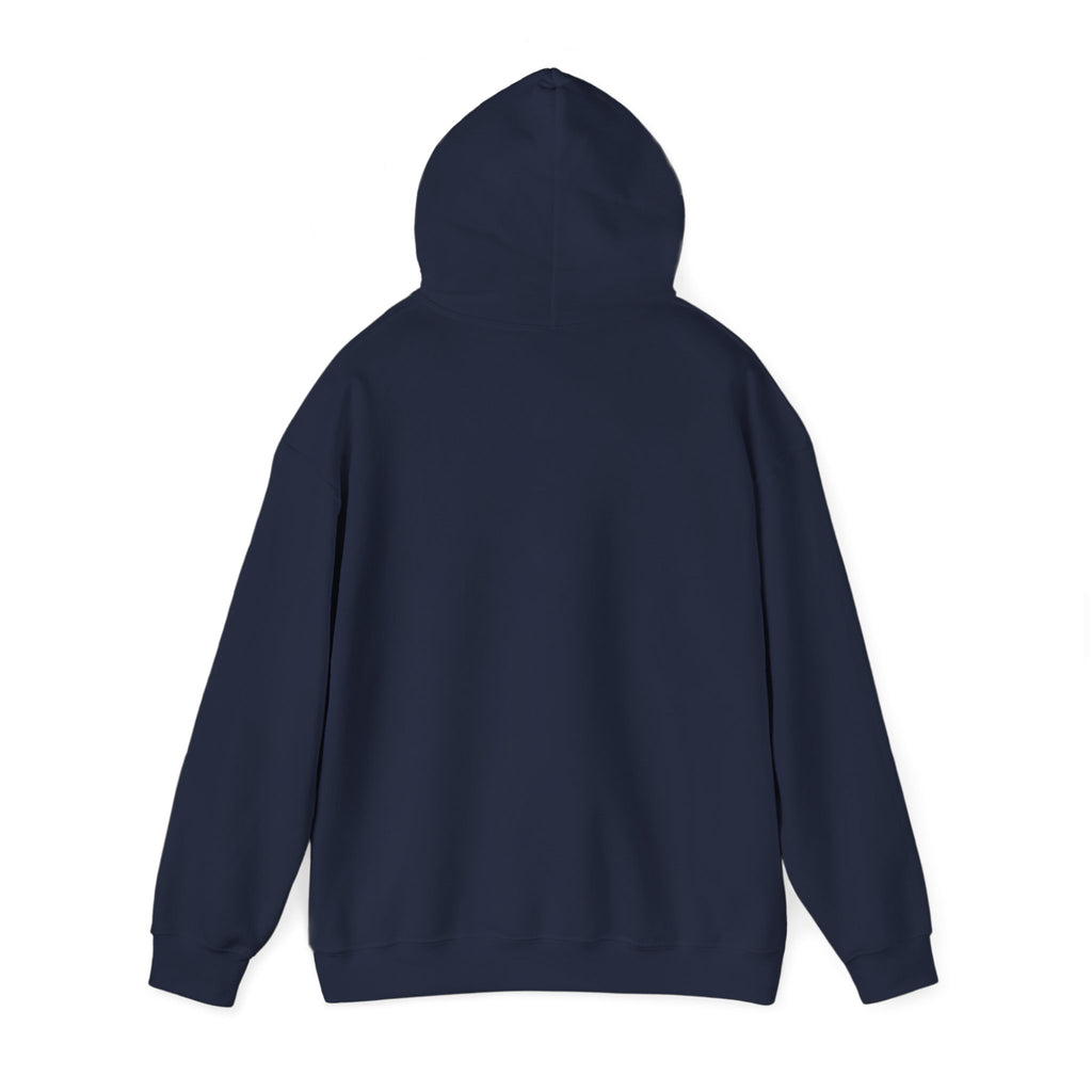 Aquarius Teddy Bear Hoodie | Zodiac Bear Graphic Sweatshirt