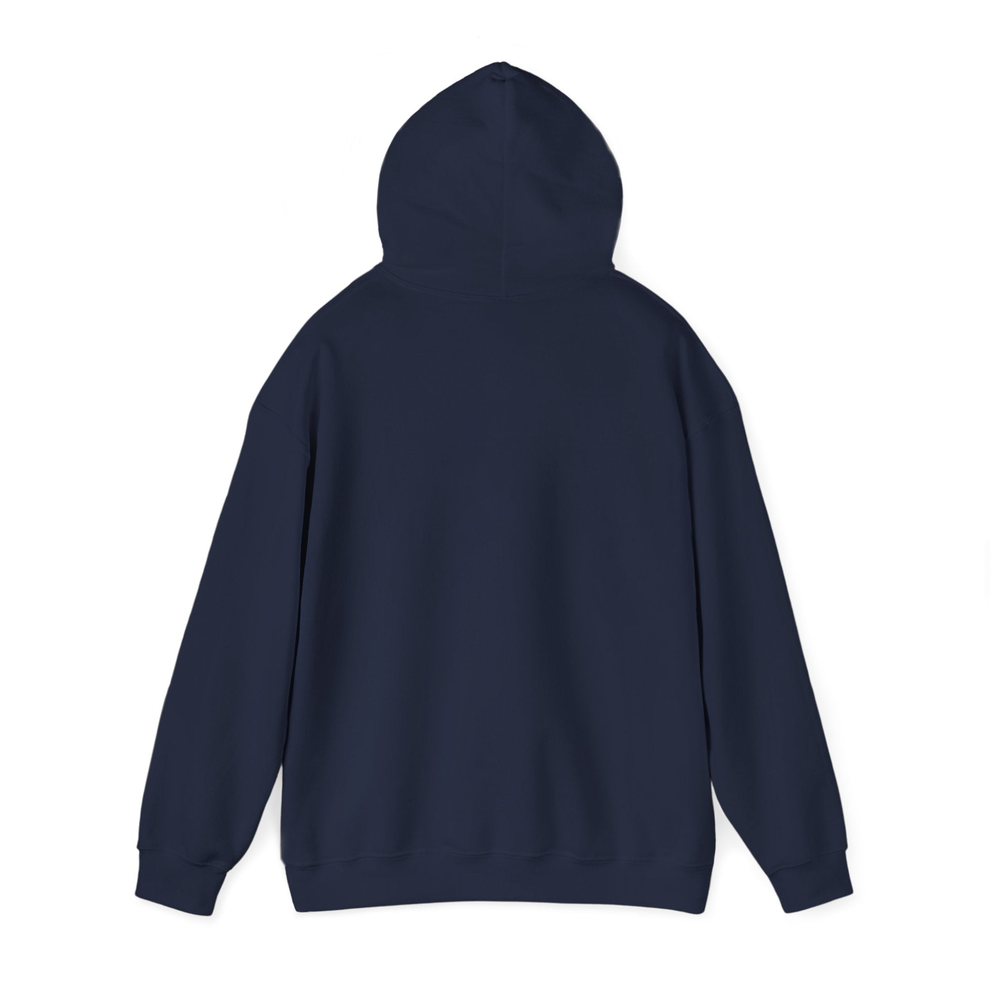 Aquarius Teddy Bear Hoodie | Zodiac Bear Graphic Sweatshirt