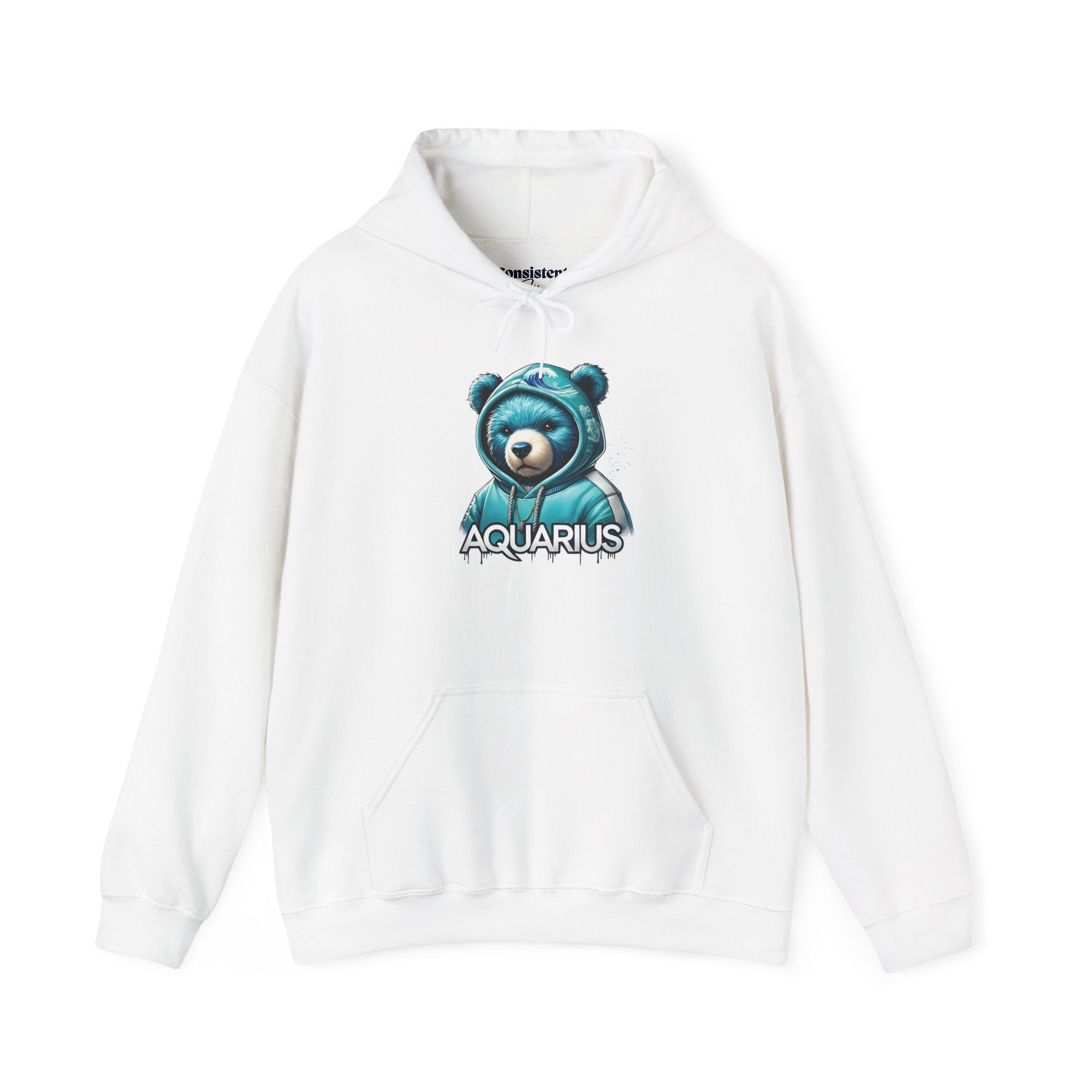 Aquarius Teddy Bear Hoodie | Zodiac Bear Graphic Sweatshirt