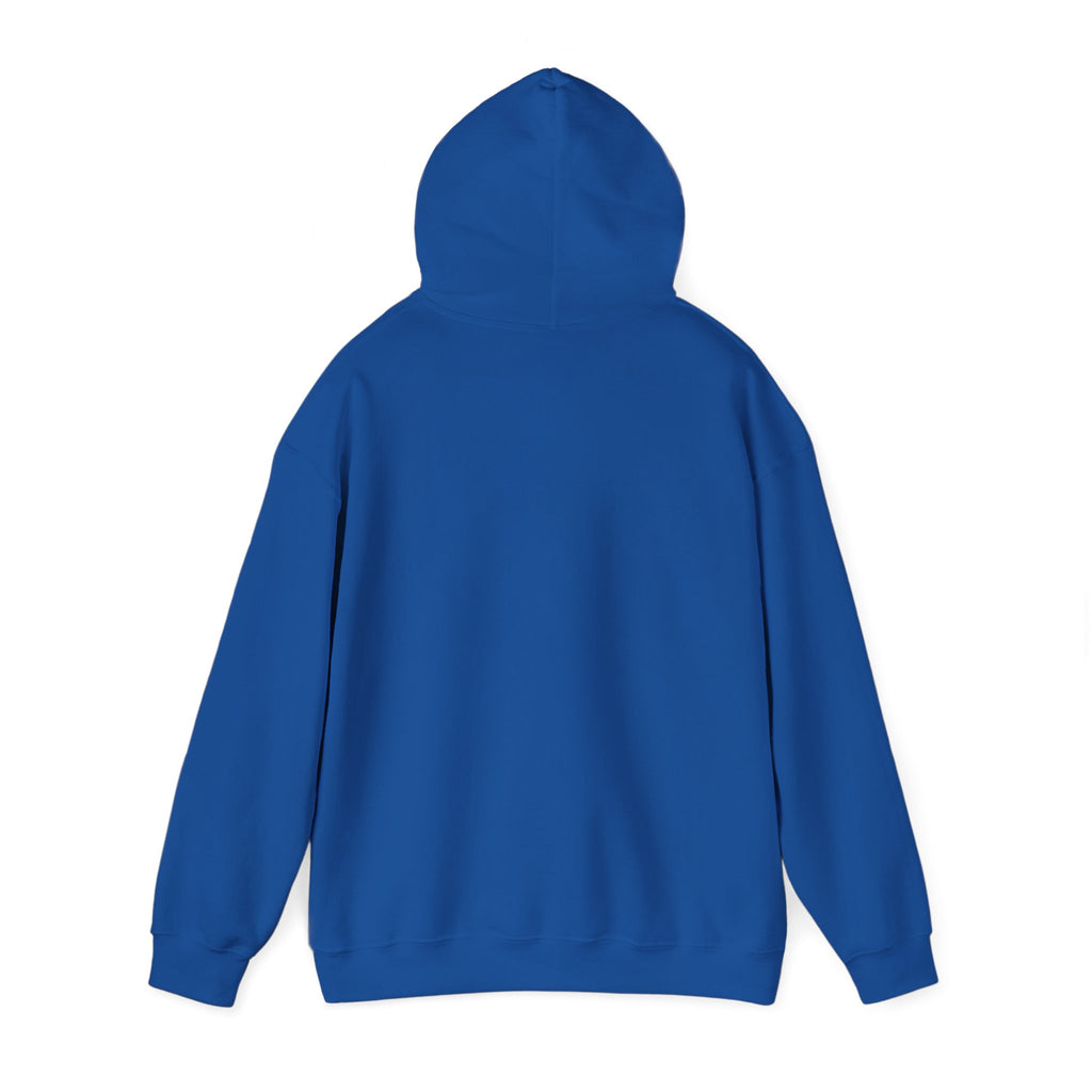 Aquarius Teddy Bear Hoodie | Zodiac Bear Graphic Sweatshirt