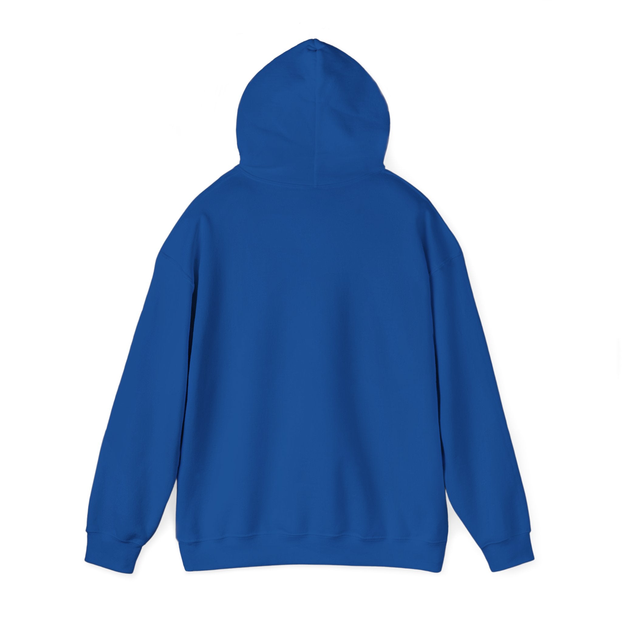 Aquarius Teddy Bear Hoodie | Zodiac Bear Graphic Sweatshirt