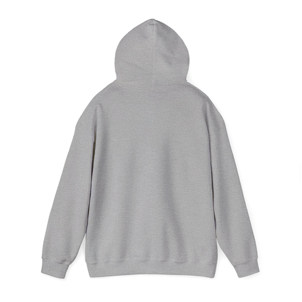 Aquarius Teddy Bear Hoodie | Zodiac Bear Graphic Sweatshirt