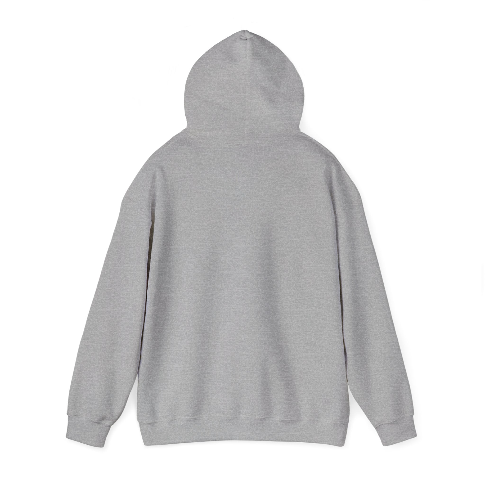 Aquarius Teddy Bear Hoodie | Zodiac Bear Graphic Sweatshirt