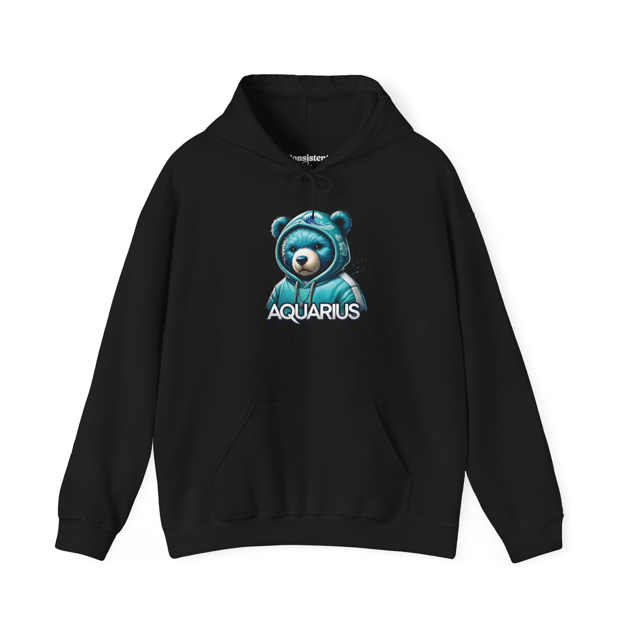 Aquarius Teddy Bear Hoodie | Zodiac Bear Graphic Sweatshirt