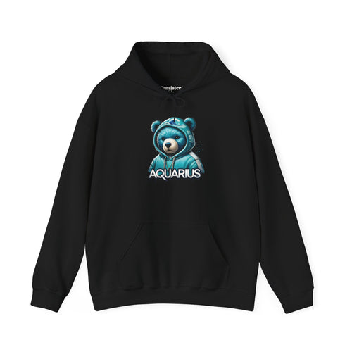 Aquarius Teddy Bear Hoodie | Zodiac Bear Graphic Sweatshirt