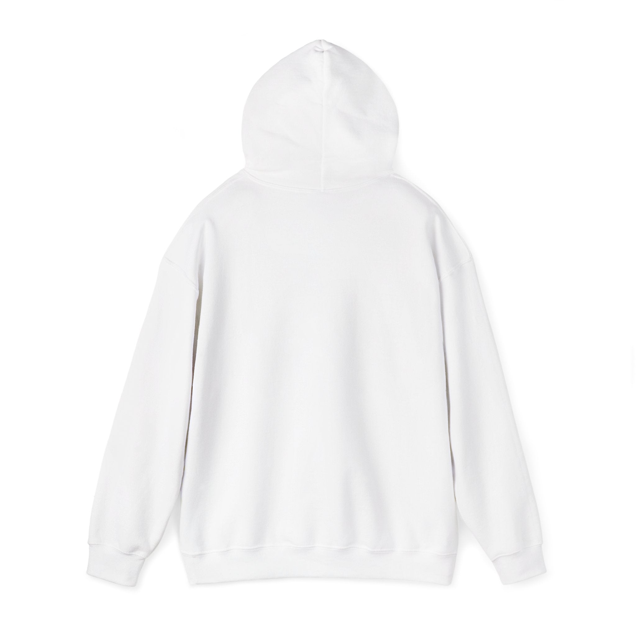 Aquarius Teddy Bear Hoodie | Zodiac Bear Graphic Sweatshirt