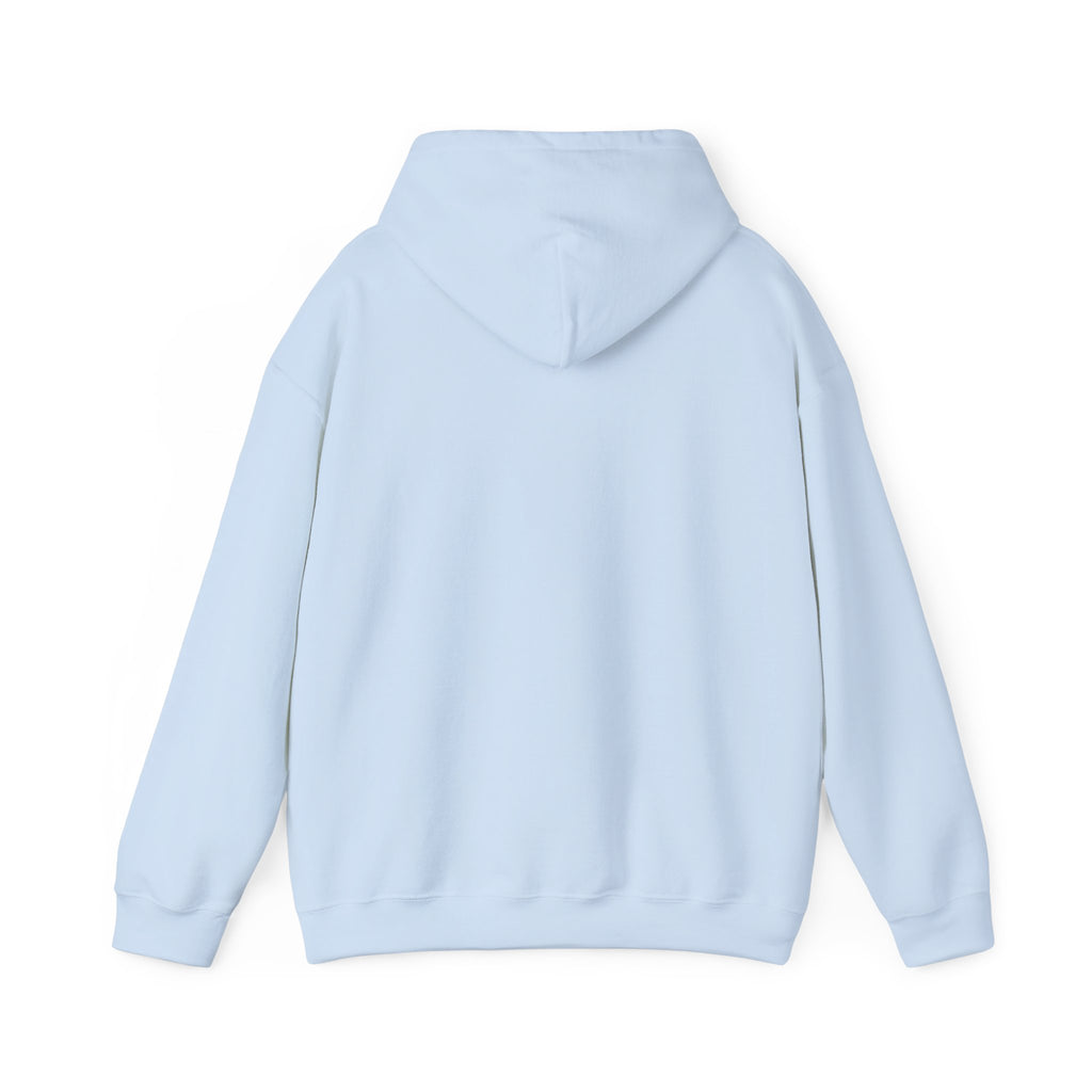 Aquarius Teddy Bear Hoodie | Zodiac Bear Graphic Sweatshirt
