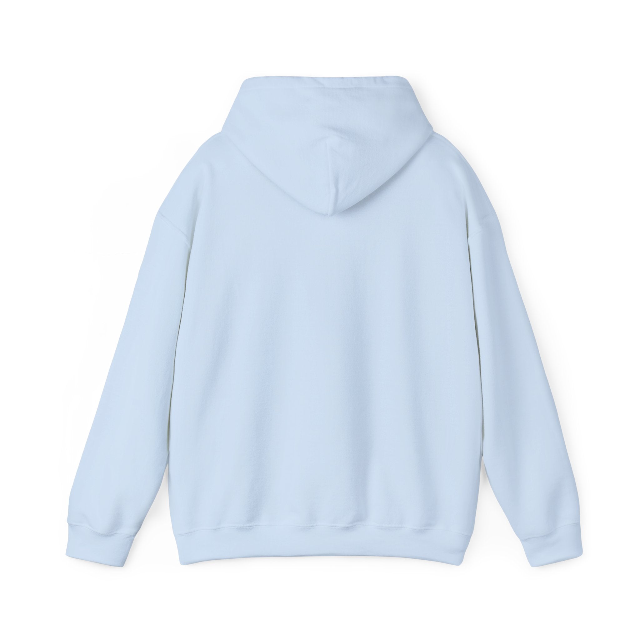 Aquarius Teddy Bear Hoodie | Zodiac Bear Graphic Sweatshirt