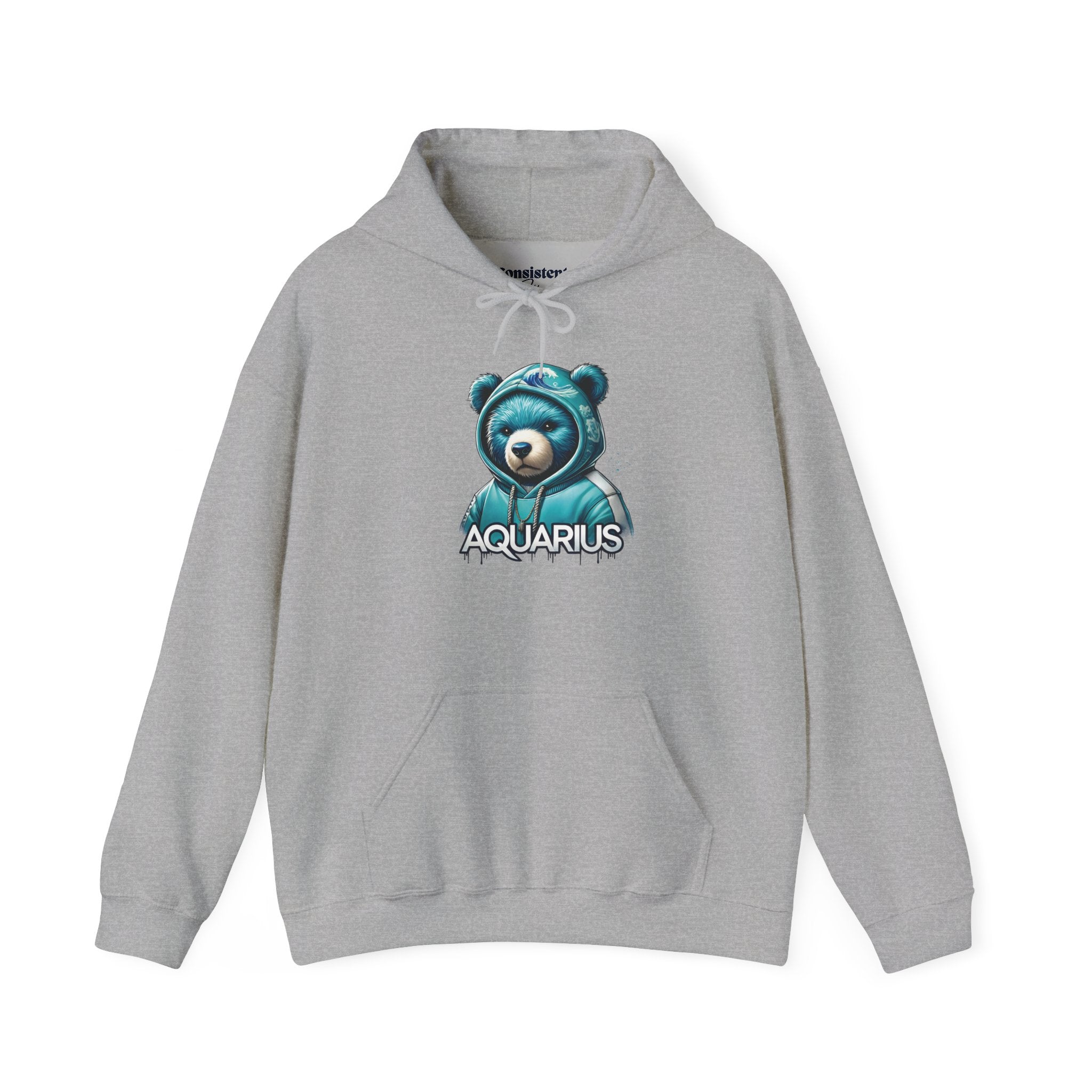 Aquarius Teddy Bear Hoodie | Zodiac Bear Graphic Sweatshirt