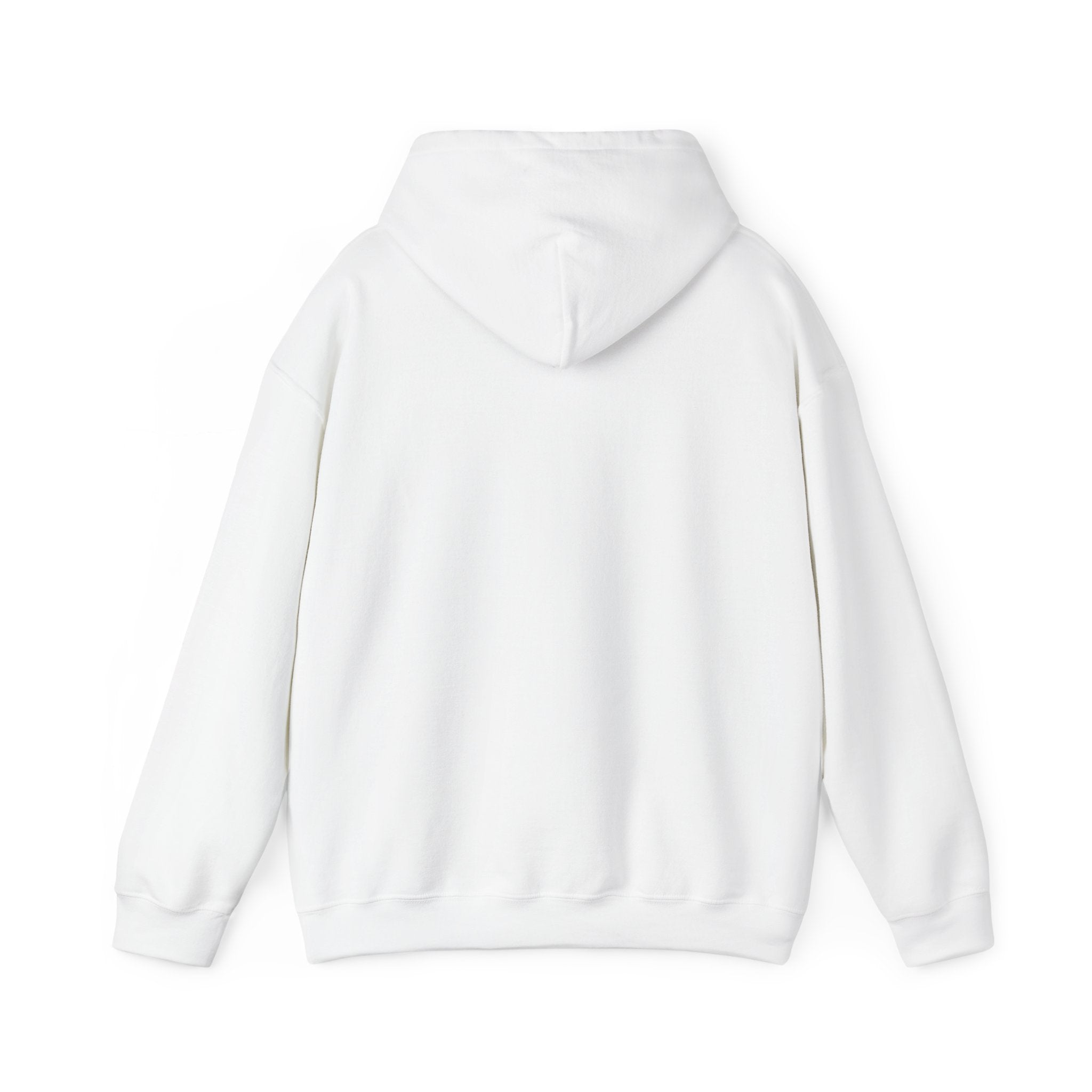 Aquarius Teddy Bear Hoodie | Zodiac Bear Graphic Sweatshirt