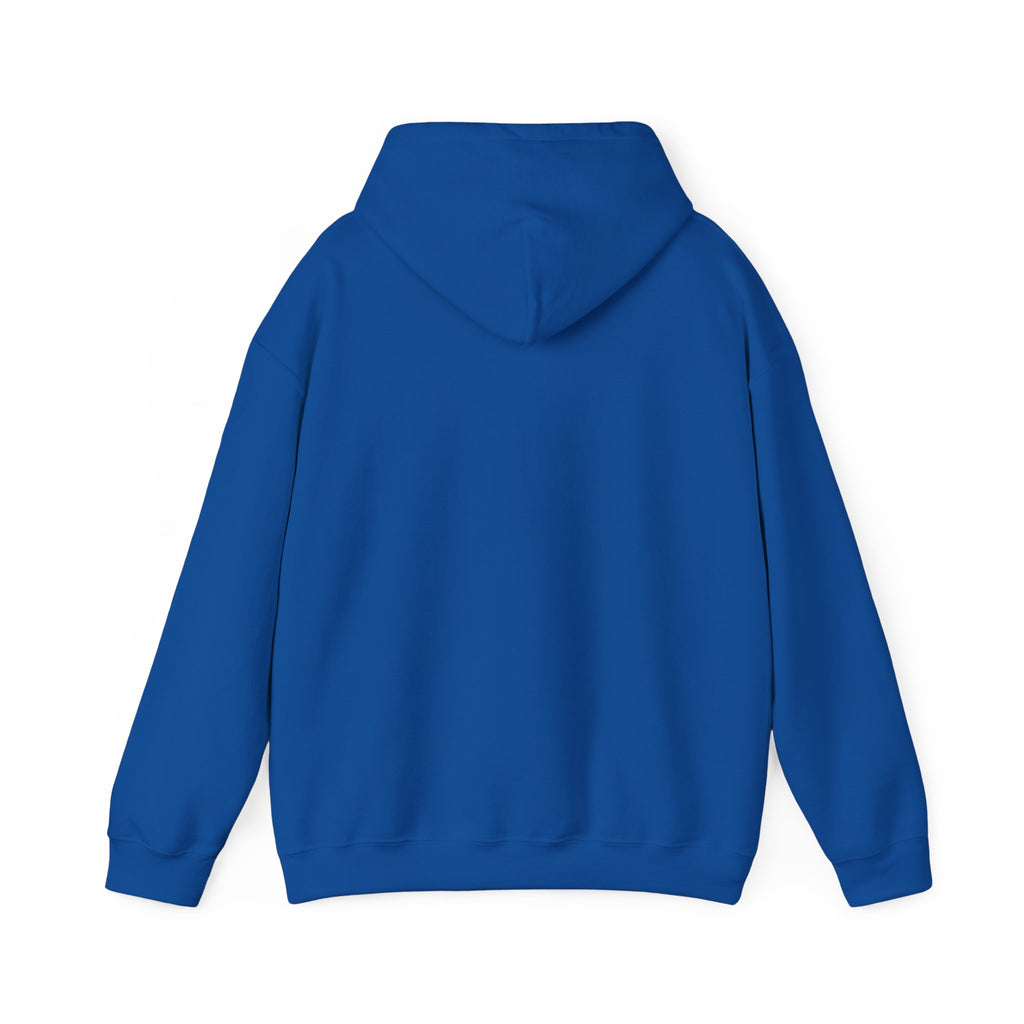 Aquarius Teddy Bear Hoodie | Zodiac Bear Graphic Sweatshirt