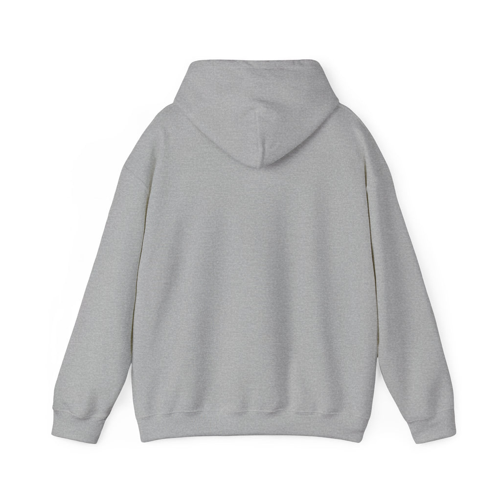 Aquarius Teddy Bear Hoodie | Zodiac Bear Graphic Sweatshirt