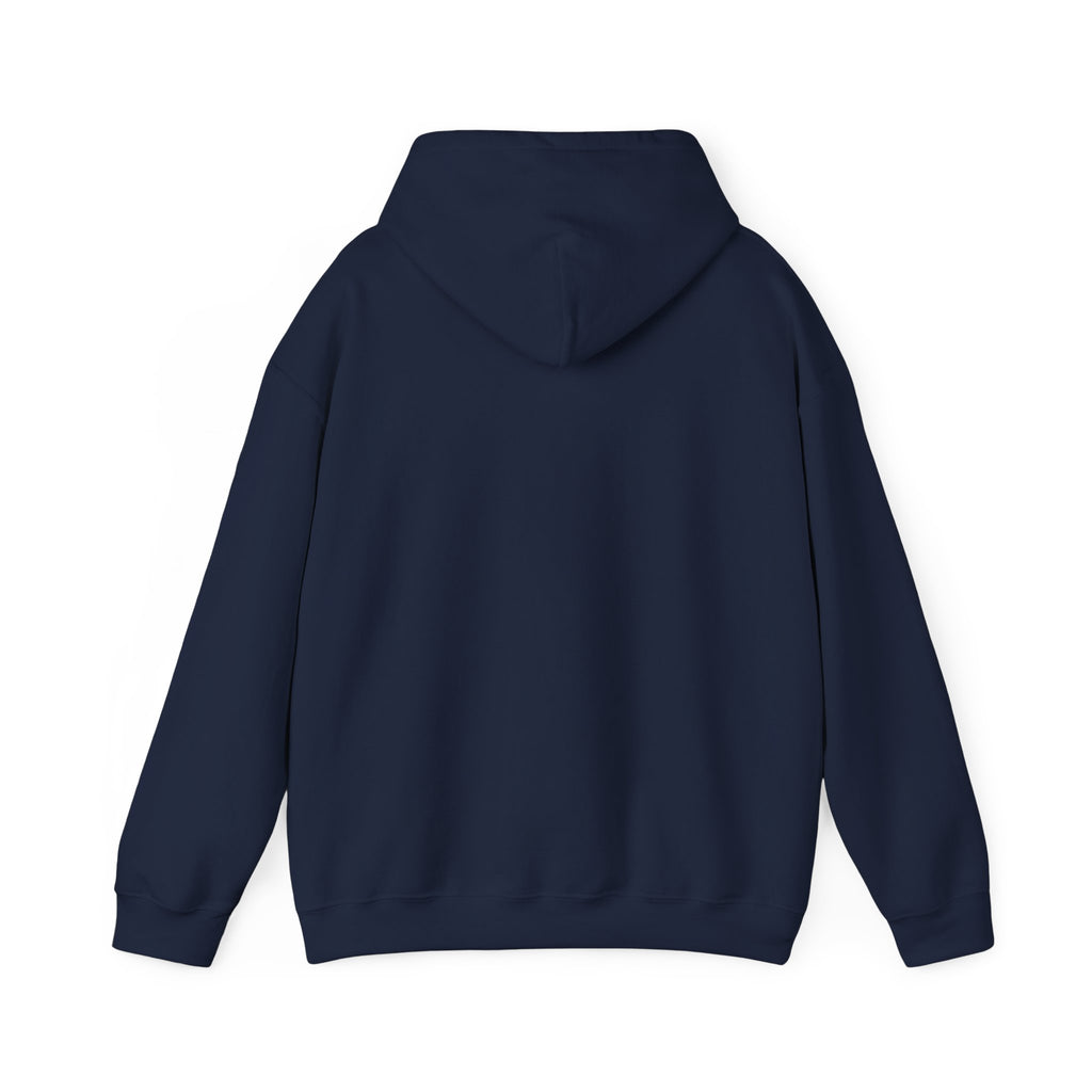 Aquarius Teddy Bear Hoodie | Zodiac Bear Graphic Sweatshirt