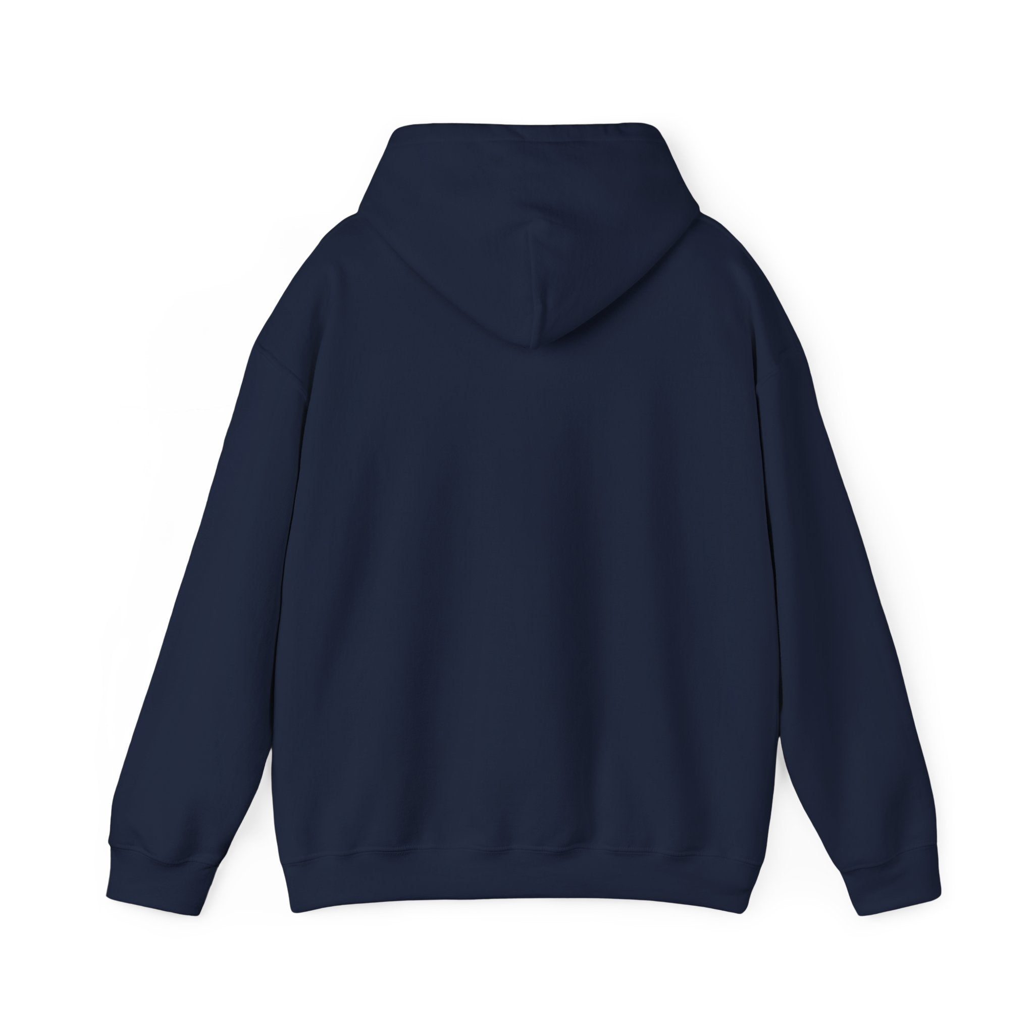 Aquarius Teddy Bear Hoodie | Zodiac Bear Graphic Sweatshirt