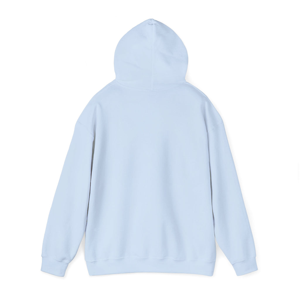 Aquarius Teddy Bear Hoodie | Zodiac Bear Graphic Sweatshirt