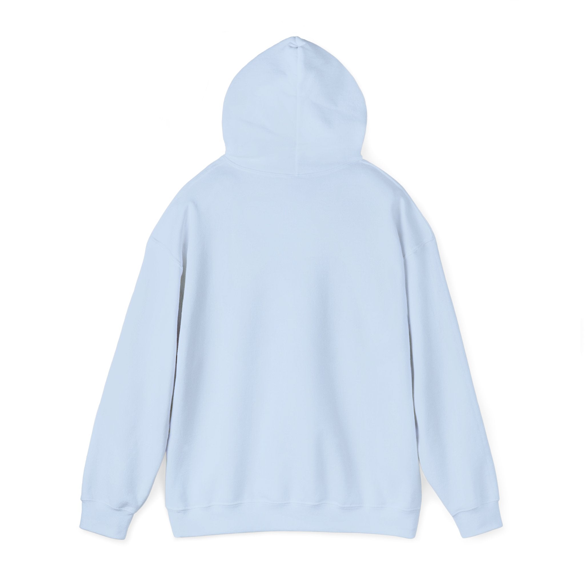 Aquarius Teddy Bear Hoodie | Zodiac Bear Graphic Sweatshirt