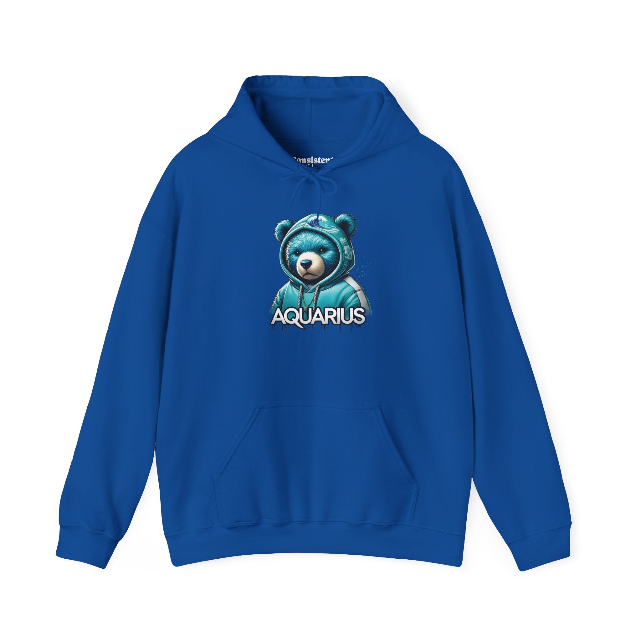 Aquarius Teddy Bear Hoodie | Zodiac Bear Graphic Sweatshirt